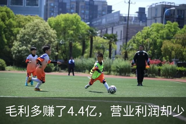 毛利多赚了4.4亿，营业利润却少了9亿：特斯拉的钱去哪了？