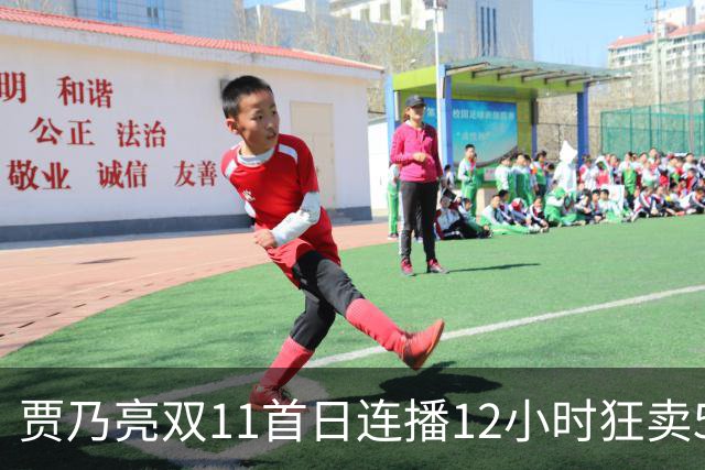 贾乃亮双11首日连播12小时狂卖5.7亿，明星带货卷出新高度